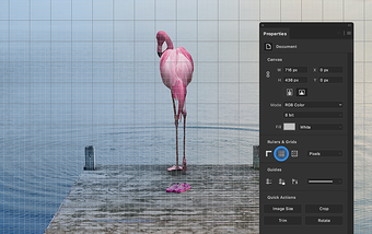 Immagine 5 per Adobe Photoshop CC