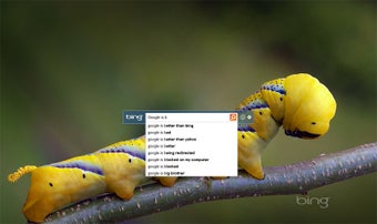 Bild 5 für Bing Desktop