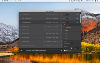 Obraz 0 dla RAW Converter