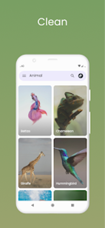 Collection Backgroundの画像0