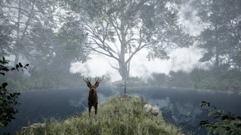 Obraz 0 dla TheLostWoods / 迷いの森