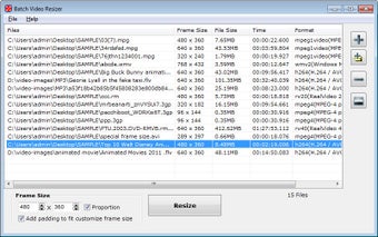 Batch Video Resizer