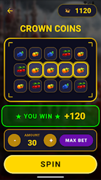 Bild 0 für Crowns and Coins