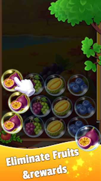 Obraz 0 dla Sorting Fruits: Match To …