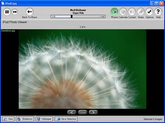 Image 0 pour iPodCopy