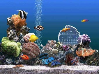 SereneScreen Marine Aquarium