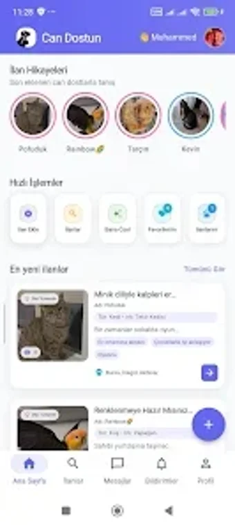 Obraz 0 dla Can Dostun: Hayvan Sahipl…