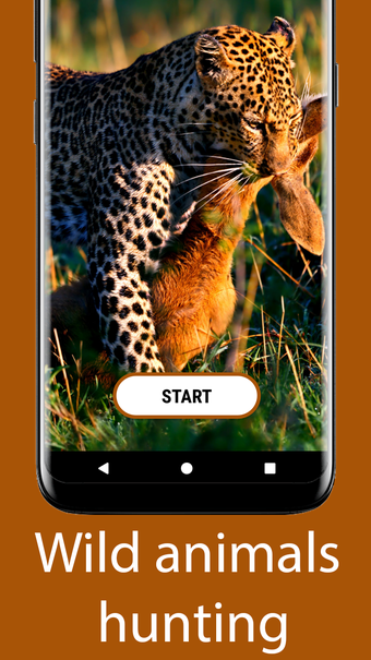 Imagen 3 para Wild Animals - Documentar…