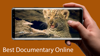 Imagen 0 para Wild Animals - Documentar…