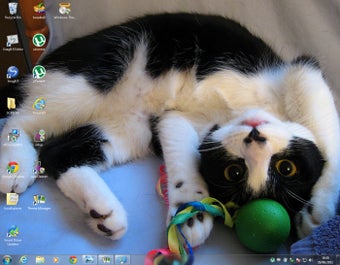 Immagine 7 per Windows 7 Theme Manager