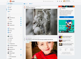 Bild 0 für Reddit
