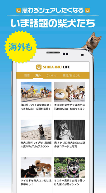 Imagen 0 para 柴犬ライフ:100％柴犬情報メディア