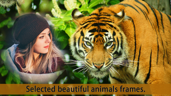 Wildlife Animal Photo Frames