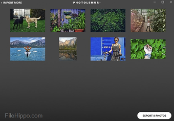 Bild 0 für Photolemur