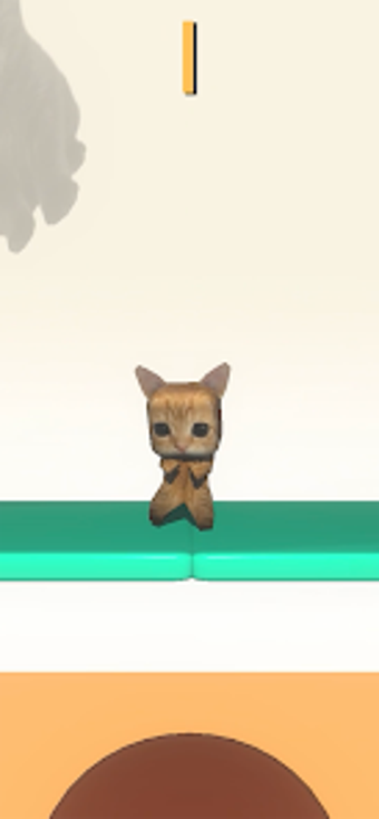 Bild 0 für Ay Mi Gatito