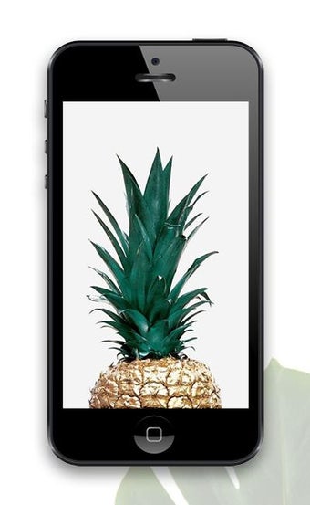 Tropical Wallpapersの画像0