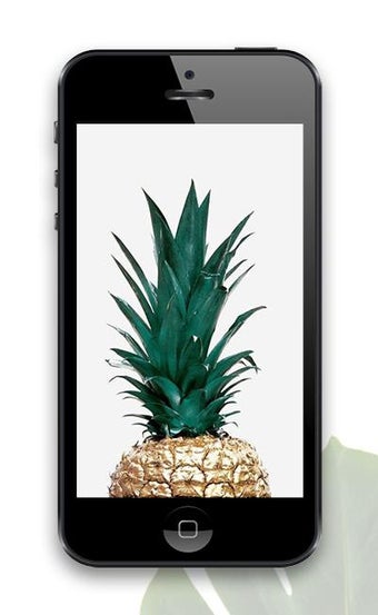 Bild 0 für Tropical Wallpapers