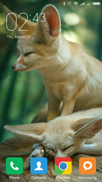 Obraz 0 dla Fennec fox Wallpapers