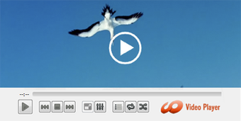 HD Video Media Player for…の画像0