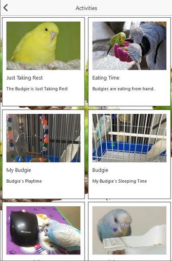 Image 0 for Budgie Care - Complete Bu…