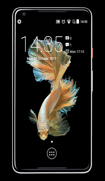 Bild 0 für Betta Fish Wallpaper
