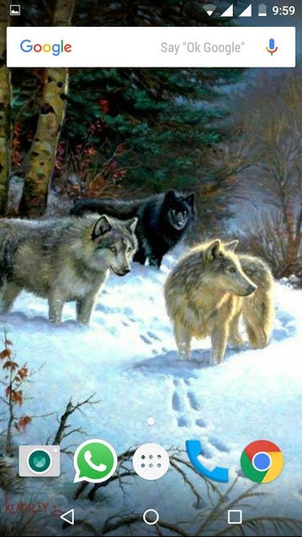 Image 0 pour Wolf Wallpapers HD