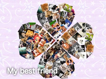 PicCollageの画像3