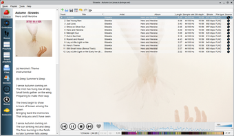Image 4 for Strawberry Music Player