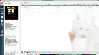 Immagine 2 per Strawberry Music Player