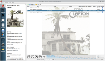 Image 2 for Strawberry Music Player