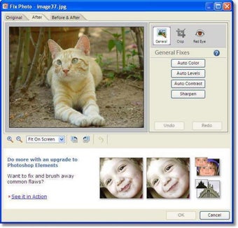 Image 1 for Adobe Photoshop Album