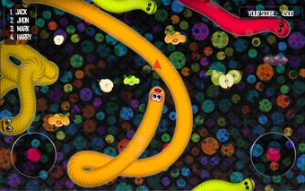 Obraz 0 dla Silthworm Snakes