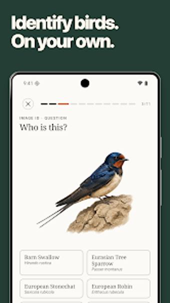 Obraz 0 dla Nestling: Learn Birds