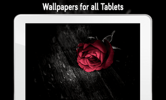 Immagine 0 per Rose Wallpaper (4k)