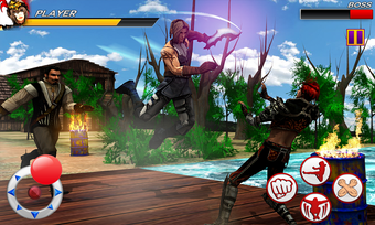 Image 4 pour King of Kung Fu Fighting