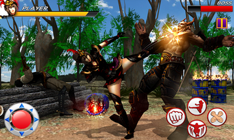 Image 3 pour King of Kung Fu Fighting