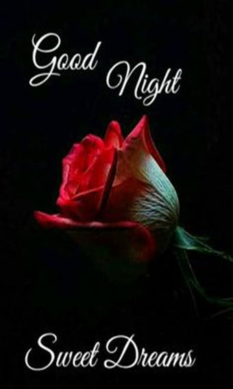 Good Night Images and sweet Love Messages