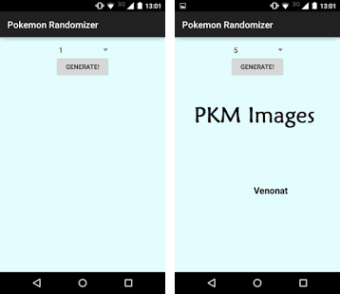 PKMN Randomizer