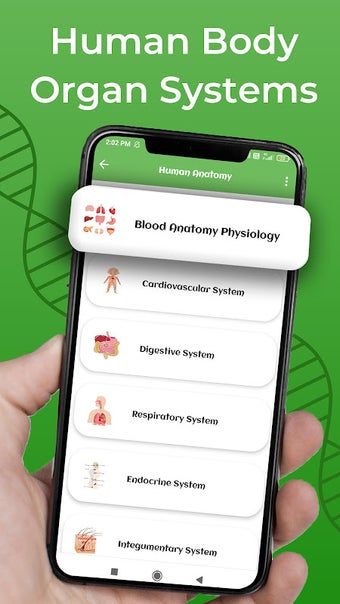 Human Anatomy and Physiology: Bones and Organs