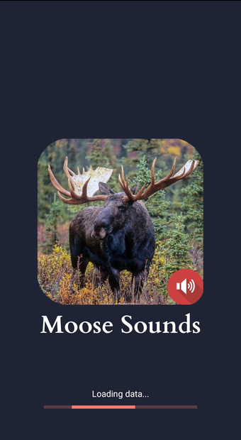 Moose Soundsの画像0