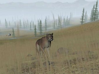 Image 1 for Trophy Hunter