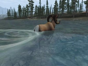 Image 4 for Trophy Hunter
