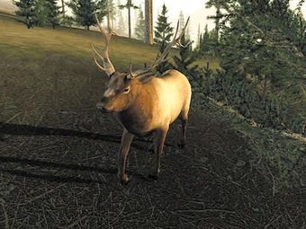 Bild 0 für Trophy Hunter