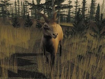 Image 0 for Trophy Hunter
