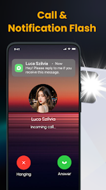 Obraz 0 dla Instant Alert With Flashl…