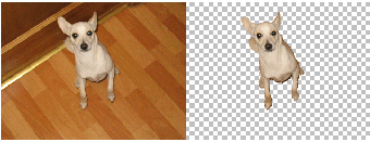 Image 2 pour Background Remover