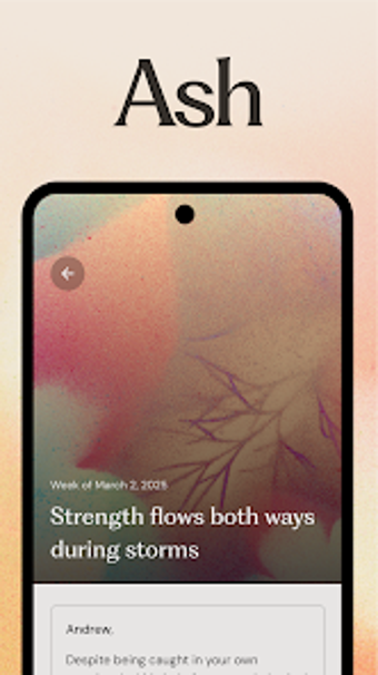 Imagen 0 para Ash - AI for Mental Healt…
