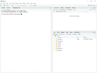 Bild 0 für RStudio IDE