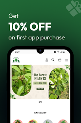 Ixora Farming的第0张图片