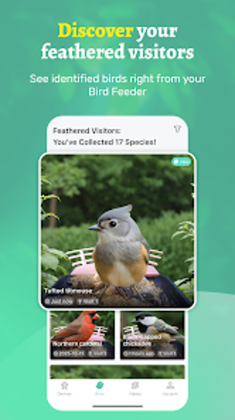 Obraz 0 dla Vico Nature: Smart Nature…